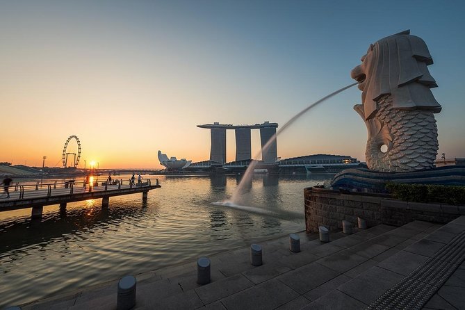 6 Hours - Singapore Tour in Private Car or Minibus with Driver - Why a private driver matters more than you think