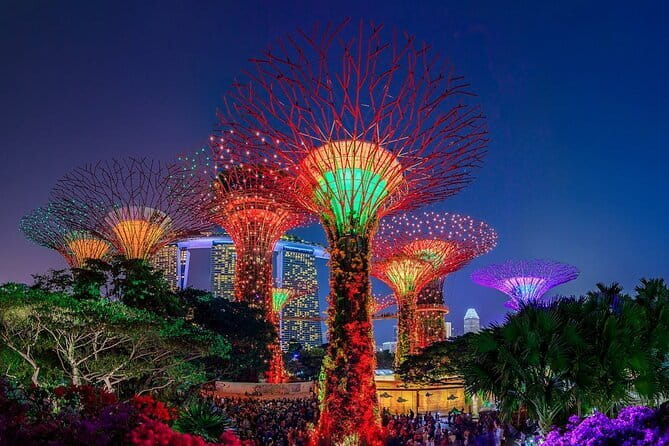 Admission E-Ticket to Gardens by the Bay Singapore - Key points worth knowing before you go