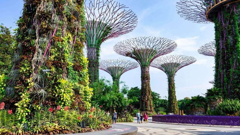 Best of Singapore: Private Walking Tour with a Local - A local resident guide makes Singapore feel smaller