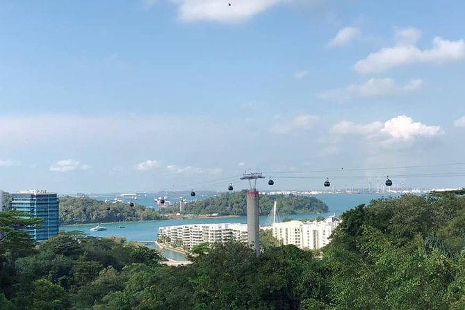 BEST Singapore Private City Tour by an Insider (1/2/3 x full-day) - Key things that make this tour work