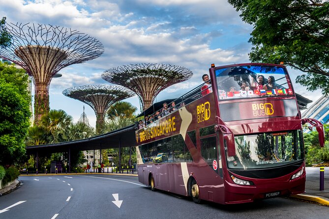 Big Bus Singapore Hop-On Hop-Off Tour - Key things to know before you ride