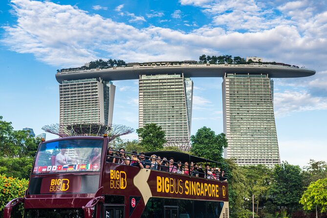 Big Bus Singapore Hop-On Hop-Off Tour - Heat, crowds, and buses that may skip stops