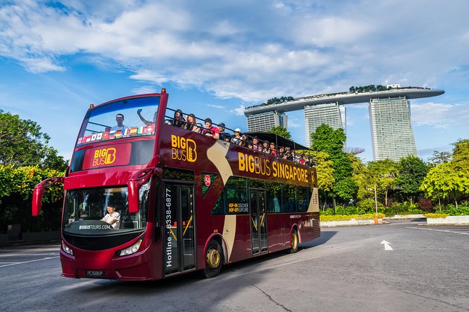 Big Bus Singapore Hop-On Hop-Off Tour - Value for money: why $52.39 can work (and when it won’t)