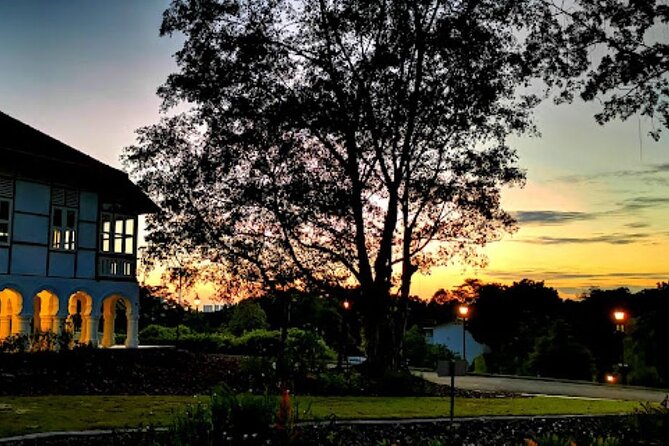 Botanic Gardens & Tiong Bahru Walking Tour with Breakfast - Sunrise in Singapore Botanic Gardens: where the day feels calmer