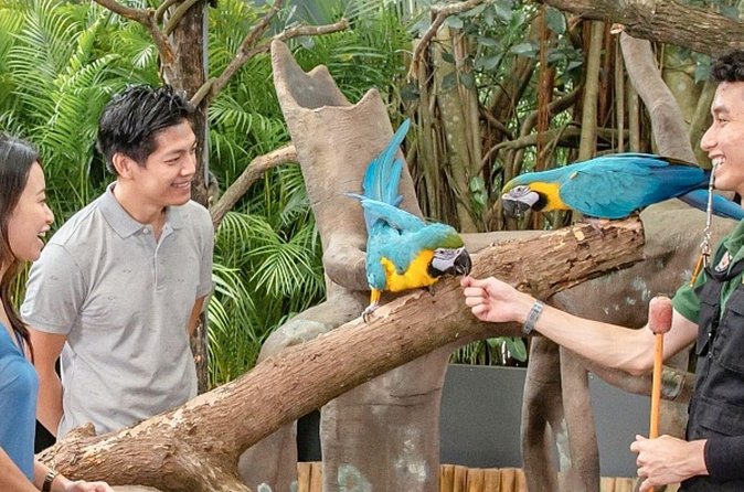 Breakfast In the Wild at Singapore Zoo Promo - Price and value: is $102.56 a fair deal?