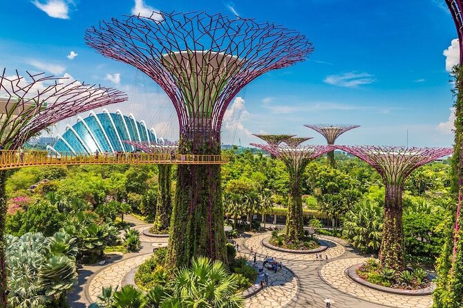 City Tour+Gardens by the Bay(FlowerDome&JurassicWorld) Transfers - Flower Dome: the second glass greenhouse you’ll want to plan for