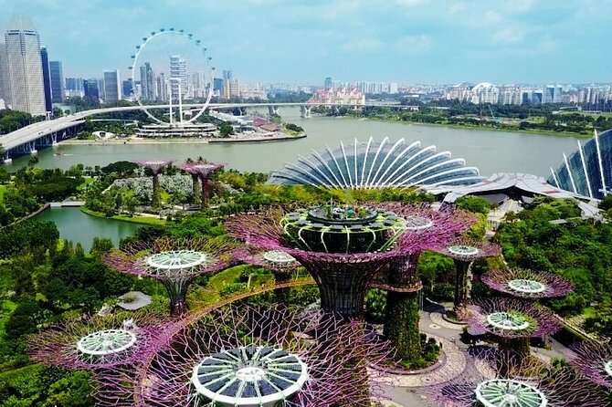 City Tour+Gardens by the Bay(FlowerDome&JurassicWorld) Transfers - Transfers, timing, and group flow in Singapore