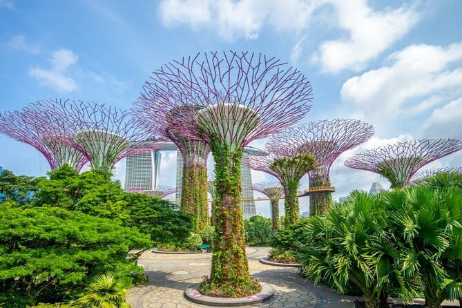 eSIM 4G/5G Data for Asia 8 Areas Singapore Thailand MY VN HK TW - Price and Value: Is $3.94 Worth It?