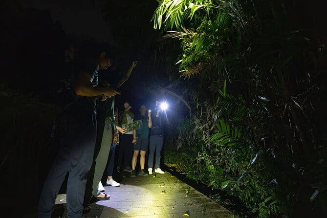 Explore a Rainforest teeming with Wildlife at Night! - The animals: snakes, colugos, civets, and flying critters