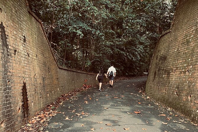 Exploring Singapore’s Forgotten Hills - Labrador Nature Reserve: mangroves you can actually see