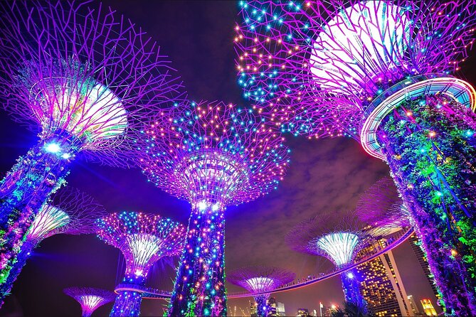 Fabulous Night-Out Private Tour in Singapore - Chinatown after dark: Food Street, lanes, and quick classic bites