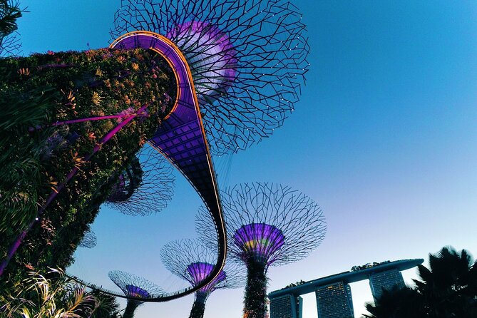 Fabulous Night-Out Private Tour in Singapore - Merlion Park to Marina Bay: from myth to skyline in one smooth shift