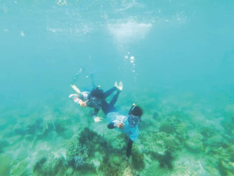 From Singapore : Private Batam Island Snorkeling and Canoe - Crossing from HarbourFront to Batam: timing and the handoff you’ll feel