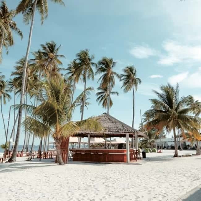 From Singapore : Private Batam Island Snorkeling and Canoe - Private service that matters: Aulia, and how prep keeps the day smooth