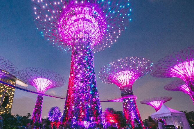Garden by the Bay Singapore combo - Flower Dome: air-conditioned plant variety you can actually enjoy