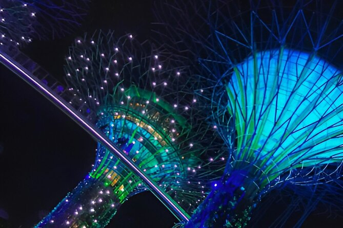 Garden by the Bay Singapore combo - Cloud Forest: 35 meters of waterfall and dinosaur-sized wonder