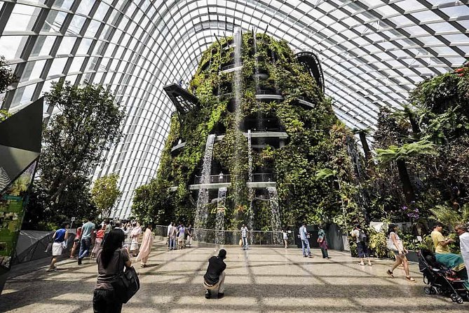 Garden by the Bay with two domes (Shared transfer) - OCBC Skyway: the classic upgrade people often misunderstand