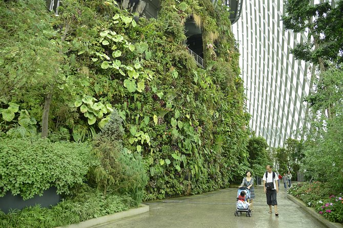 Garden by the Bay with two domes (Shared transfer) - Stop-by-stop: Cloud Forest and Flower Dome without the guesswork