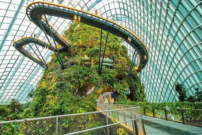Gardens by the Bay E - Ticket with Flower Dome +CF Singapore - Key Highlights to Know Before You Go