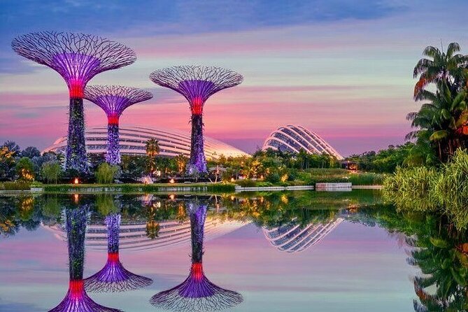 Gardens by the Bay E - Ticket with Flower Dome +CF Singapore - Flower Dome: Tulipmania, Rotating Themes, and a Guinness World Record Glass House