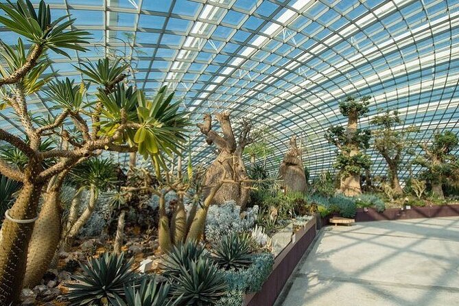 Gardens by the Bay E - Ticket with Flower Dome +CF Singapore - Timing Reality Check: What 2 Hours Feels Like