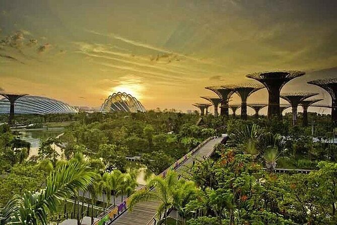 Gardens by the Bay E - Ticket with Flower Dome +CF Singapore - Price and Value: Is $29.75 a Good Deal?