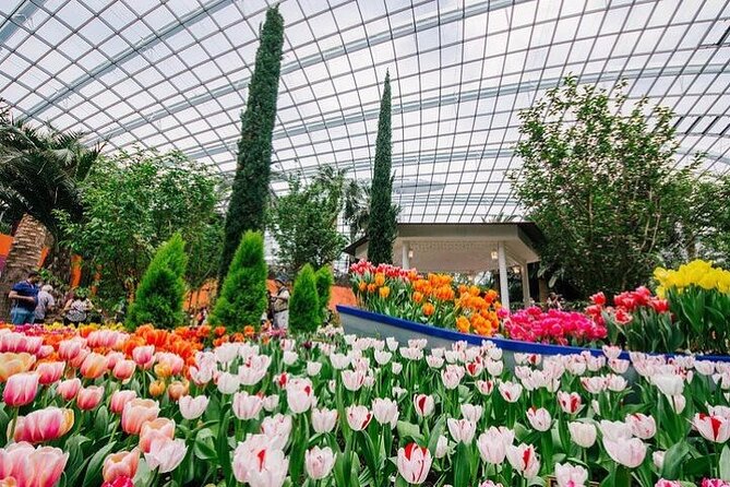 Gardens by the Bay E - Ticket with Flower Dome +CF Singapore - Cloud Forest: Indoor Waterfall Views and Jurassic World Animatronic Fun