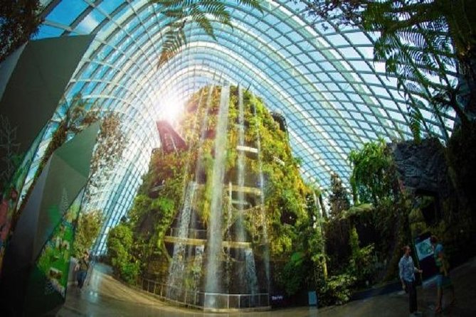 Gardens By The Bay E-Tickets - Floral Fantasy vs. Supertree: Picking the Right Second Ticket Option