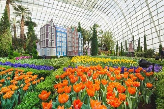 Gardens By The Bay E-Tickets - Cloud Forest Pavilion: Rain, Mist, and the Jurassic-Style Attention Grab