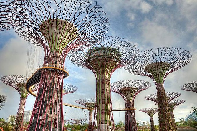 Gardens By the Bay Exp Event - Bay South Super Trees: futuristic towers that look better at night