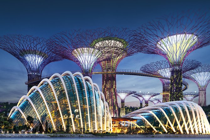 Gardens By the Bay Exp Event - Price and value: what $57.97 buys you (and when it’s worth it)