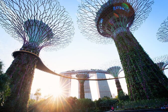 Gardens by the Bay Guided Tour - Flower Dome: the glass egg and seven themed garden zones