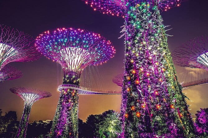 Gardens by the Bay Guided Tour - Supertree Grove: 18 futuristic trees in a focused 30 minutes