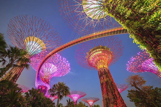 Gardens by the Bay with 2 Flower Dome + Marina Bay Sands Skypark - Quick hits before you go