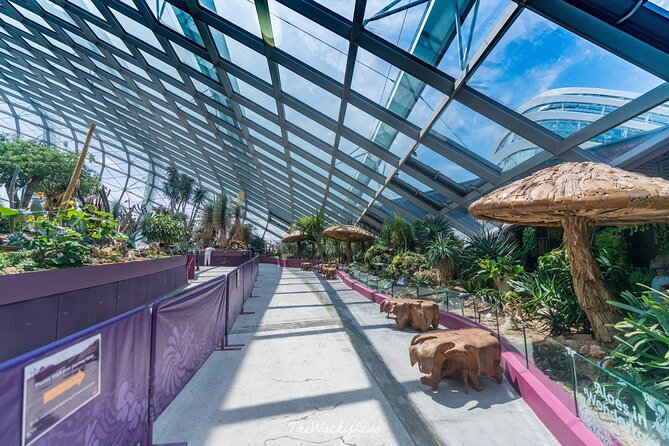 Gardens by the Bay with 2 Flower Dome + Marina Bay Sands Skypark - Stop 2: Flower Dome and its Mediterranean-style climate