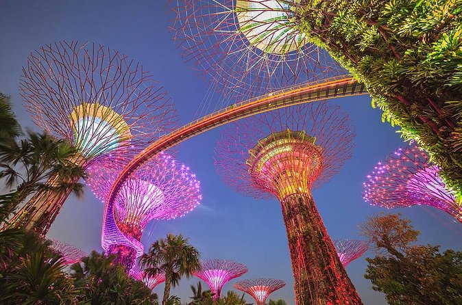 Gardens by the Bay with 2 Flower Dome + Marina Bay Sands Skypark - Stop 4: Back to Gardens by the Bay for Supertrees at night
