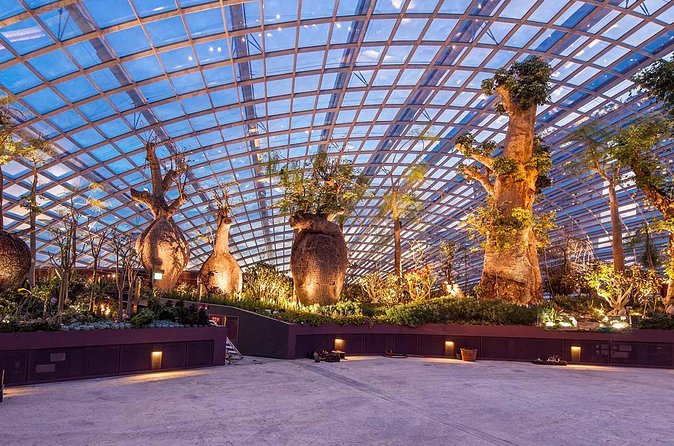 Gardens by the Bay with 2 Flower Dome + Marina Bay Sands Skypark - Price and value: what you’re paying for