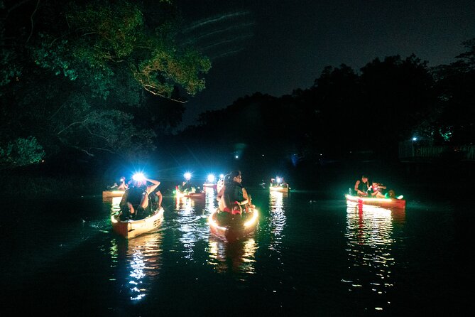 Glow Kayak Night Adventure in the Mangroves - Who should book this mangrove glow kayak ride?