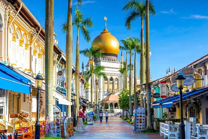 Half Day Private Guided Tour through Singapore's Iconic Landmarks - A 4-Hour Private Loop Through Marina Bay, Kampong Glam, Little India, Chinatown, and Tanjong Pagar