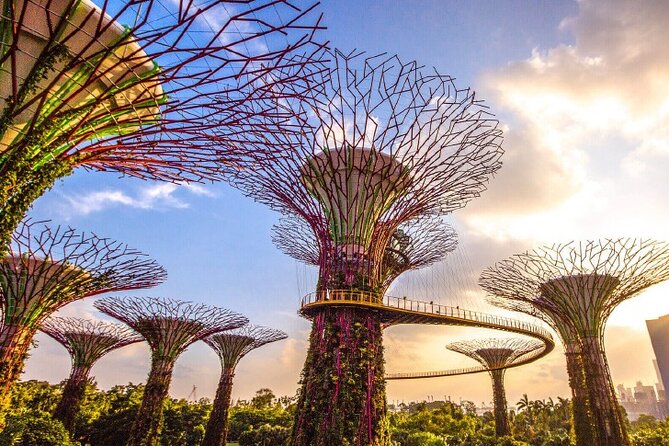 Half Day Private Guided Tour through Singapore's Iconic Landmarks - Walking in Singapore Heat: Pace, Breaks, and What to Pack