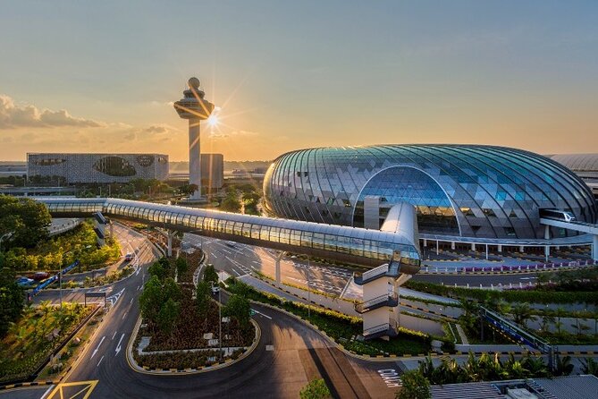 Jewel Changi Airport: Canopy Park Admission Ticket - Rain Vortex first: how the layout pulls you in