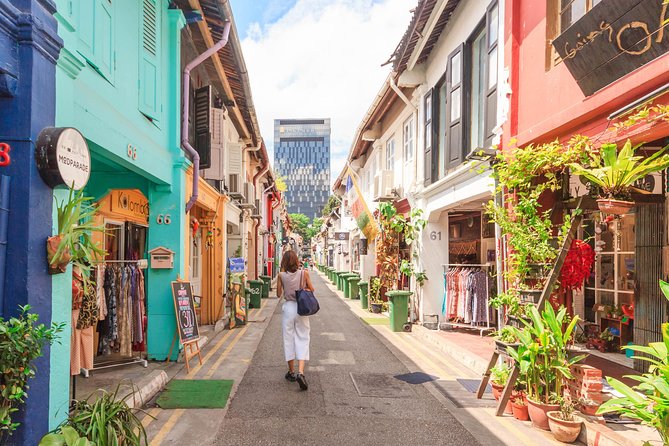 Kickstart Your Trip To Singapore With A Local: Private & Personalized - Pace, transportation, and what to wear