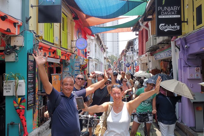 Lion City Bike Tour of Singapore - Chinatown to National Museum area: learning as you roll, not while standing still