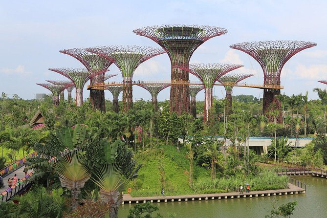 Lion City Night Out + Roundtrip Transfers - Key highlights at a glance