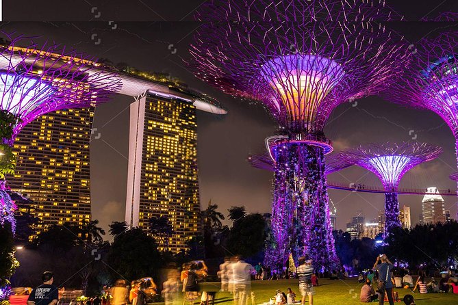 Lion City Night Out + Roundtrip Transfers - Gardens by the Bay at night: Supertrees, sound-and-light, and crowd reality