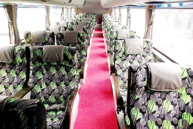 LUXURY VIP bus: Kuala Lumpur (KL) guided day tour from Singapore - The comfort factor: luxury VIP bus, recliner seats, and the long ride reality