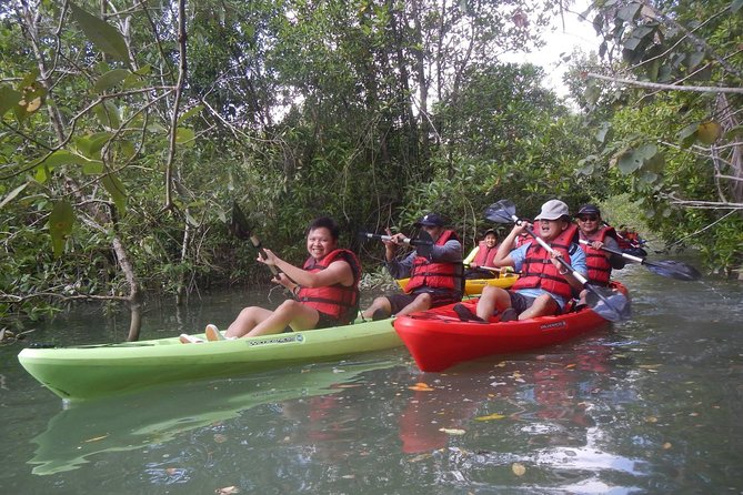 Mangrove Kayaking Adventure in Singapore - Getting there: Changi Point ferry timing and your meeting point