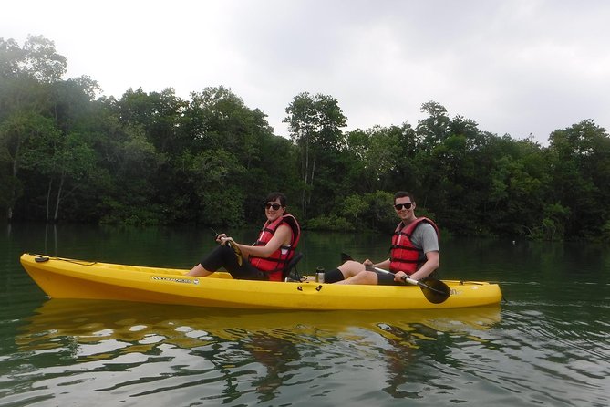 Mangrove Kayaking Adventure in Singapore - Mangrove wildlife spotting: kingfishers, herons, eagles, and more