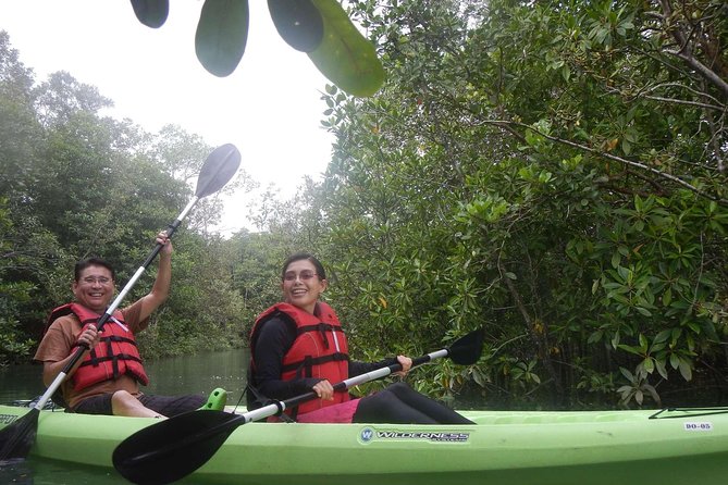 Mangrove Kayaking Adventure in Singapore - The guides: patient instruction and safety that feels real