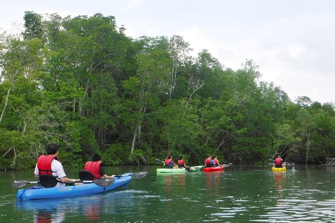 Mangrove Kayaking Adventure in Singapore - Price and value: is $85.59 per person fair?